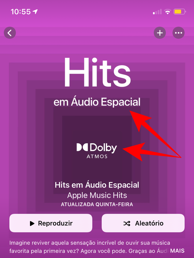 Logo da Dolby Atmos na capa da playlist. Captura de tela: Lucas Wetten (Canaltech)