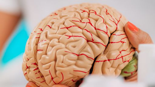 Como o cérebro de pessoas deprimidas responde ao estresse? Estudo explica!