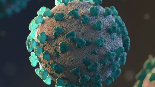 Quanto tempo leva para um vírus se espalhar pelo corpo?