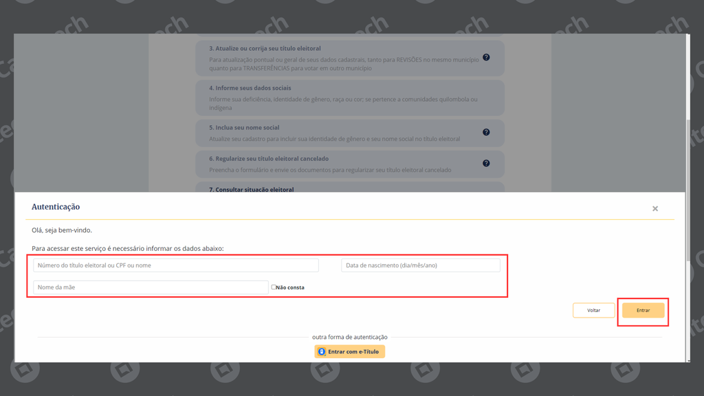 Como verificar o número do título de eleitor pelo site do TSE (Imagem: Captura de tela/Bruno De Blasi/Canaltech)
