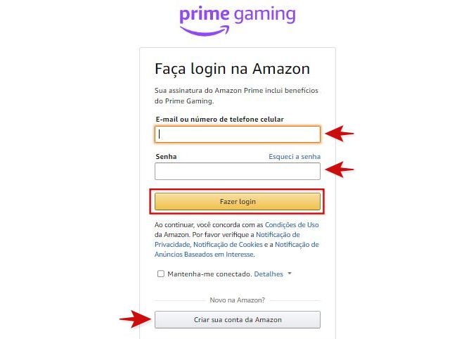 Caso seja necessário, use o comando "Esqueci a senha". (Imagem: Kris Gaiato/Captura de tela)