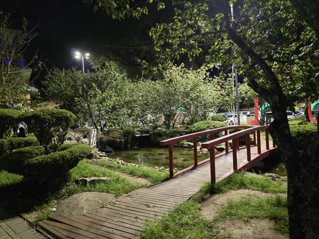 Galaxy S25 Ultra - Teste de câmeras/modo noturno