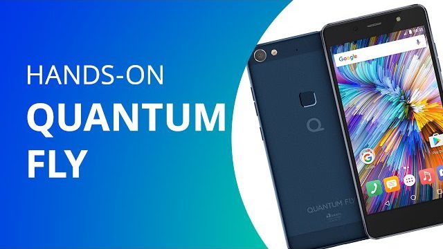 Quantum Fly [Hands-on]