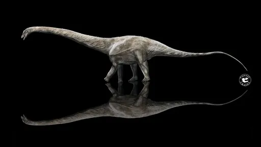 Paleontólogos confirmam que Supersaurus é o dinossauro mais longo que já existiu