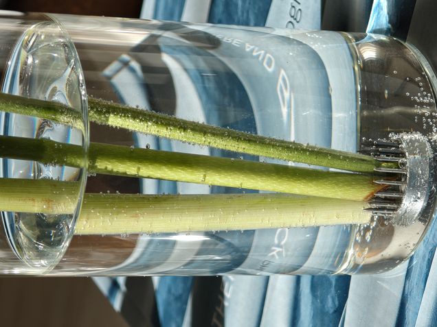 Motorola Signature - Teste de câmeras