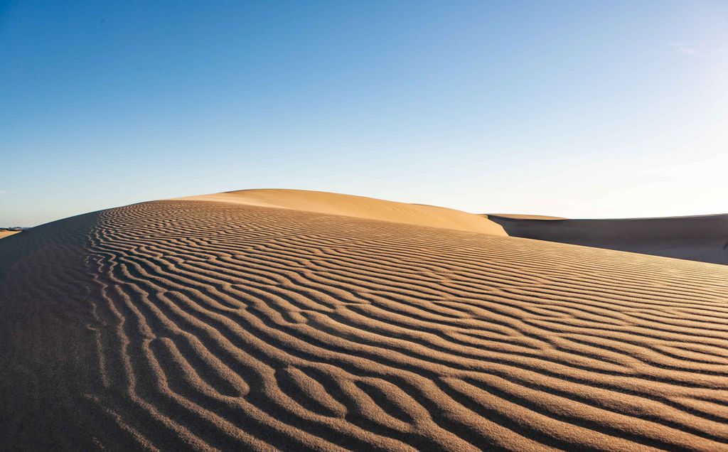 As dunas do Deserto do Saara são chamadas ergs, um tipo de duna que constantemente muda de tamanho e forma por conta da ação do vento (Imagem: Reprodução/Chris Larson/Pexels)
