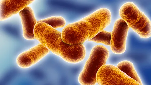 Cientistas avançam na pesquisa de probióticos "cultivando" bactérias benéficas