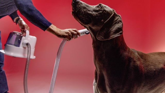 Divulgação/Kärcher