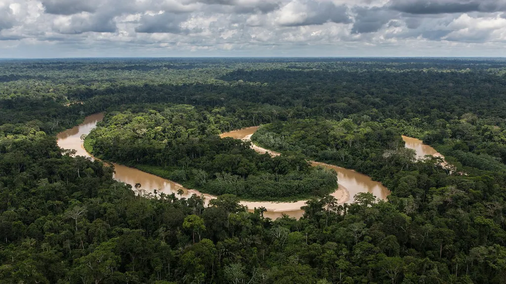 A água é parte fundamental para o equilíbrio da Amazônia (Imgem: USDA Forest Service/NASA)