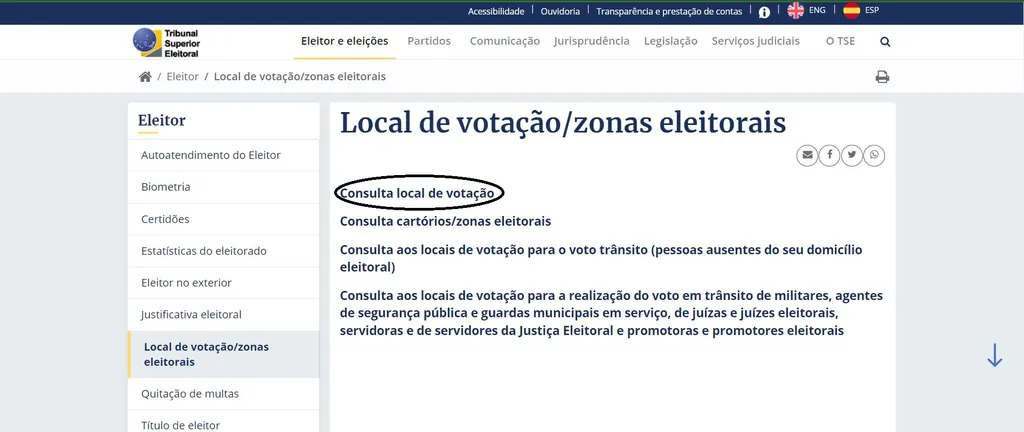 Na página inicial, clique em "consulta local de votação". (Imagem: Reprodução/TSE)