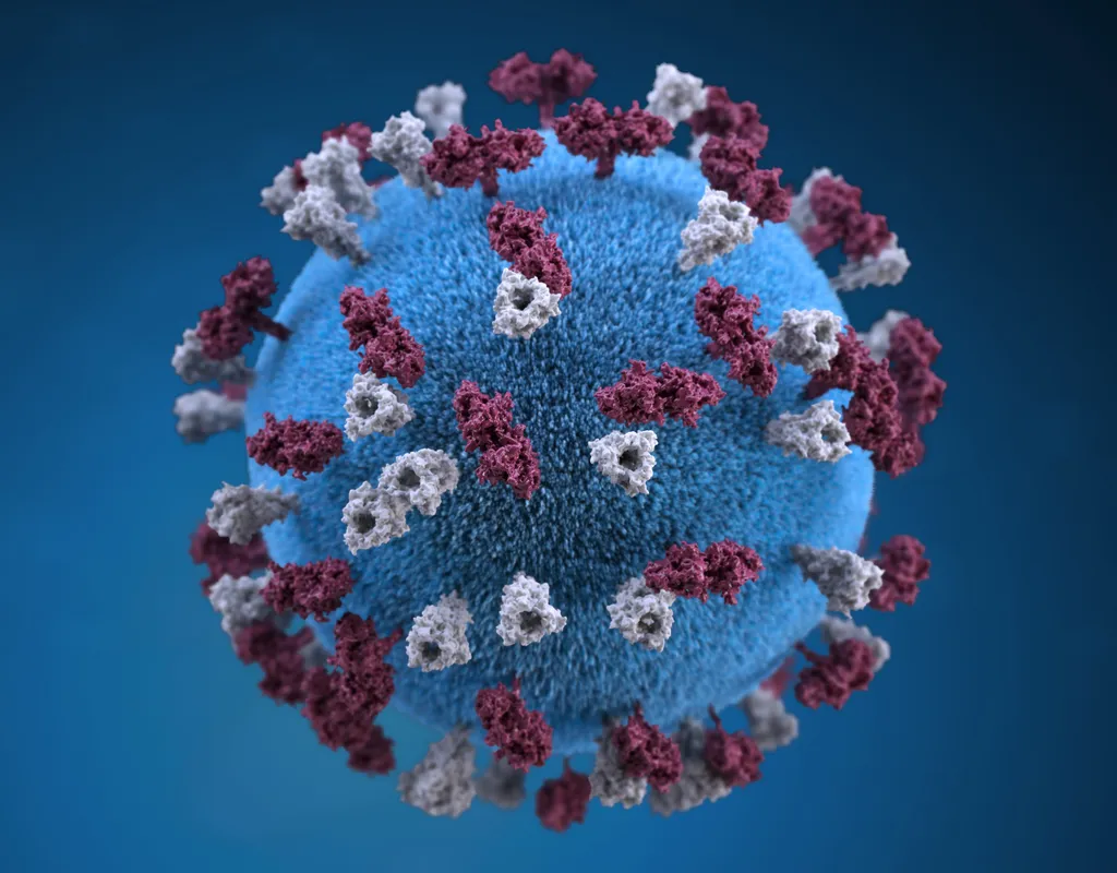 O vírus do sarampo é perigoso principalmente para crianças, e a melhor maneira de preveni-lo é vacinando 95% da população (Imagem: CDC/Allison M. Maiuri)