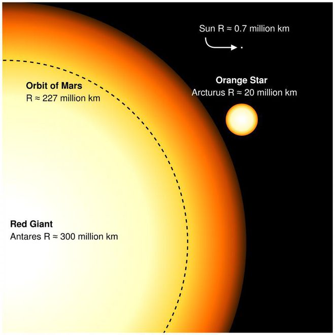 Hoje, o Sol ainda é pequeno em comparação às gigantes, mas ficará do tamanho de Arcturus (Imagem: Reprodução/English Wikipedia Author Sakurambo/Starts With a Bang)