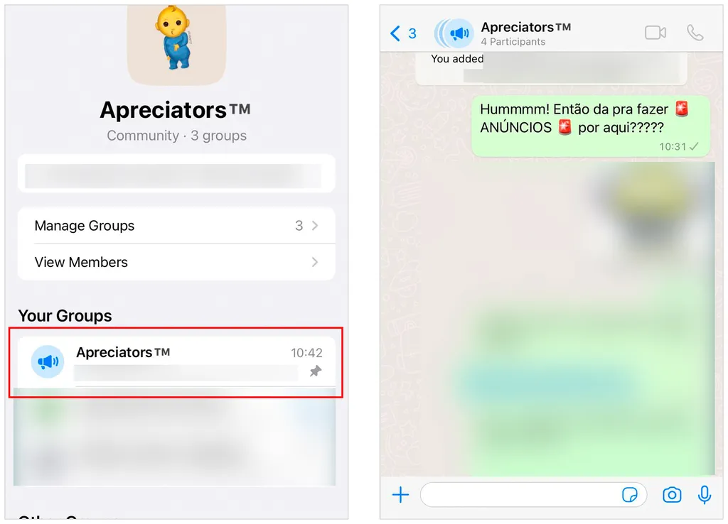 Grupo de avisos na comunidade do WhatsApp é usado para enviar mensagens a todos os participantes (Captura de tela: André Magalhães)