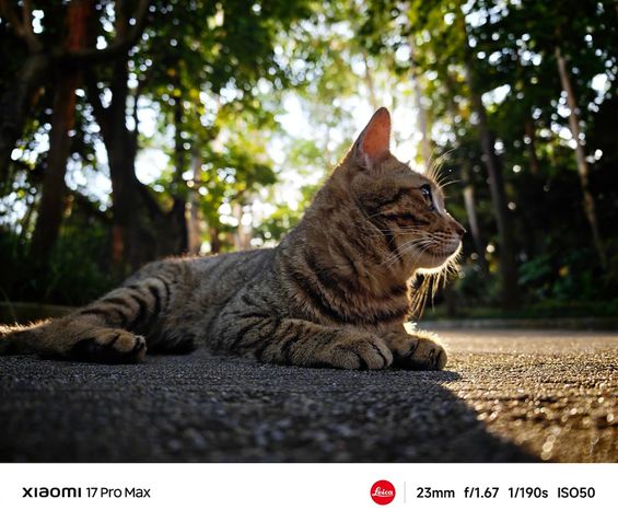 Fotos tiradas no Xiaomi 17 Pro e Xiaomi 17 Pro Max