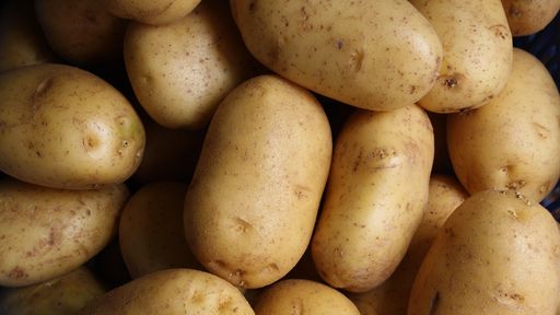 Cientistas inserem gene humano em batatas e o resultado é surpreendente