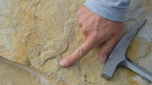 Fósseis mais antigos de misteriosa linhagem humana são descobertos na Sibéria