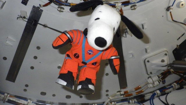 NASA