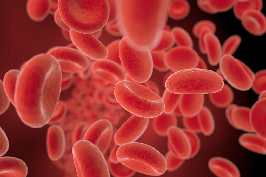 Microplásticos e nanoplásticos no sangue podem impedir o transporte de oxigênio pelas hemácias (Imagem: claudioventrella/Envato)