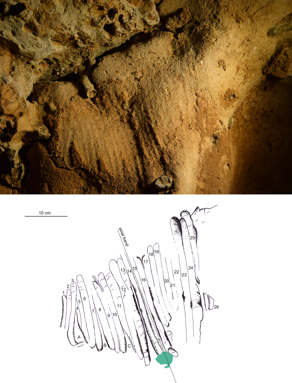Estas artes rupestres foram feitas por neandertais antes mesmo dos humanos surgirem, mostrando grande inteligência e capacidade artística (Imagem: Marquet et al/PLOS One)
