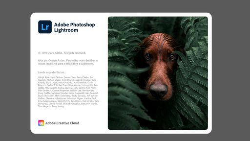 Vale a pena assinar o pacote Adobe com Photoshop e Lightroom?