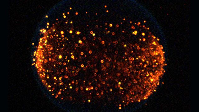 NASA estuda chamas em microgravidade buscando uma combustão mais limpa e segura