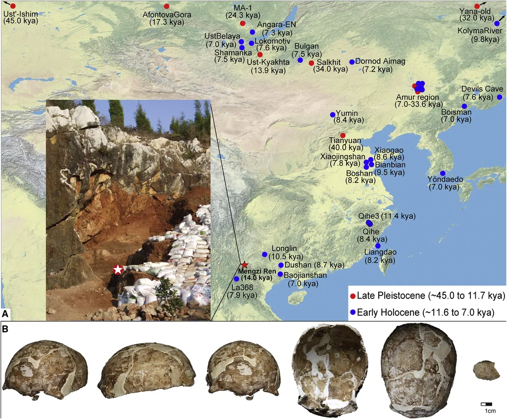Detalhes do crânio humano sequenciado pelo estudo e sua localização na China (Imagem: Zhang et al./Current Biology)