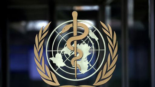 OMS reduziu em 70% os casos de falsidade ideológica durante a pandemia