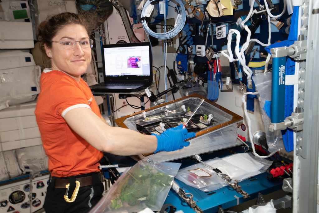 A astronauta Christina Koch conduzindo experimento científico na ISS (Foto: NASA)