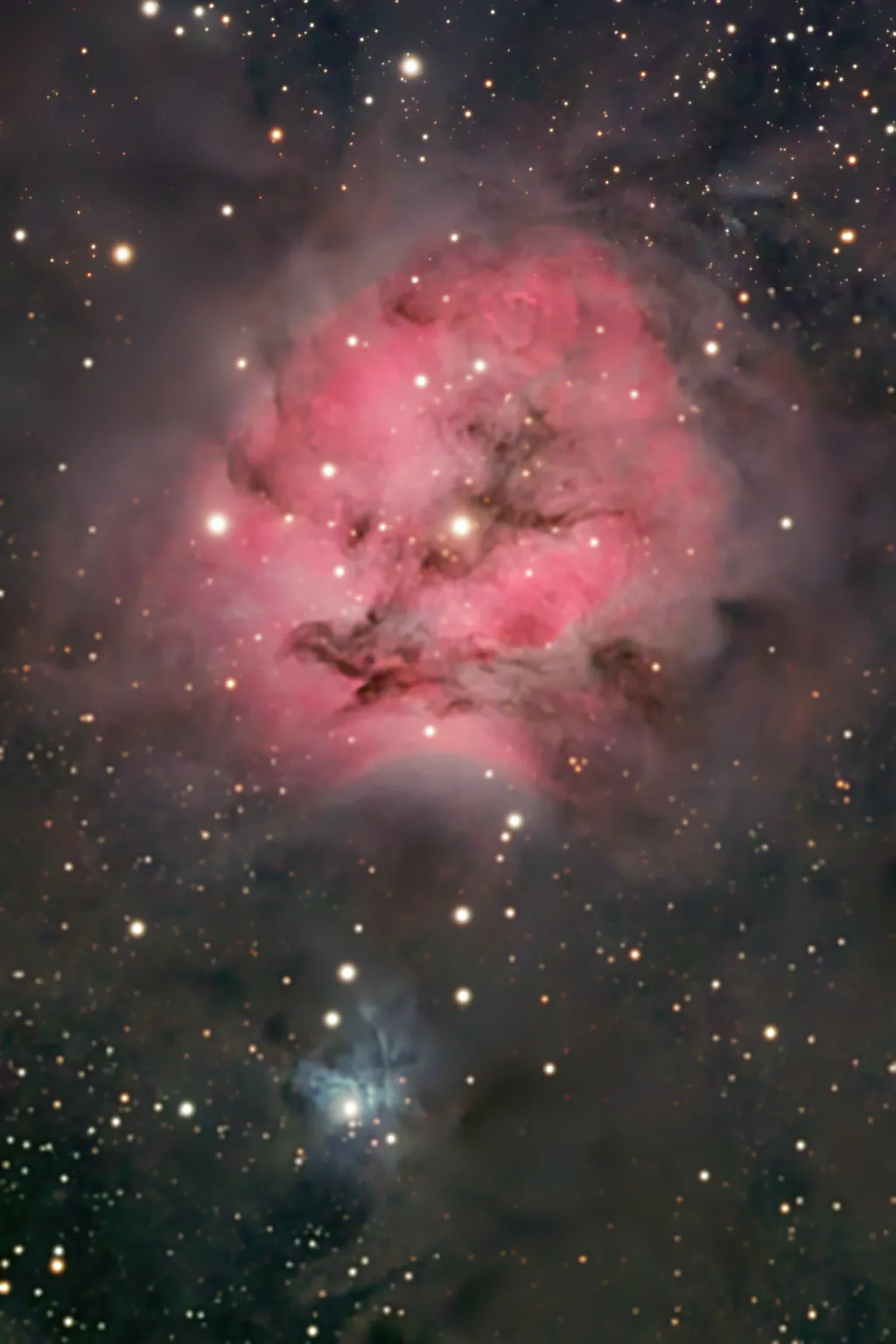 Esta nebulosa é como um grande "casulo espacial", que abriga um aglomerado estelar em desenvolvimento (Imagem: Reprodução/David Jenkins)