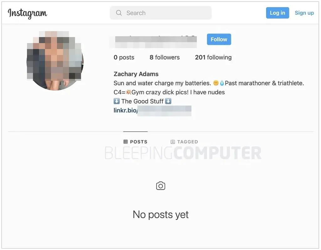 Instagram: roubo de identidades é usado em golpes com criptomoedas e pornografia