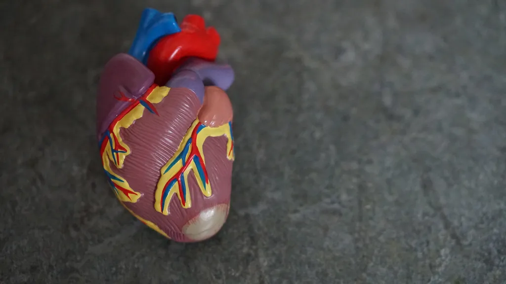 Dispositivo que simula ataque cardíaco é uma das inovações científicas do mês (Imagem: Robina Weermeijer/Unsplash)