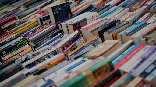 Pokémon GO? Belgas inventam aplicativo para caçar livros em vez de monstros