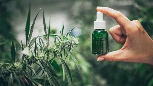 Cannabis medicinal ajuda a reduzir a depressão, aponta novo estudo