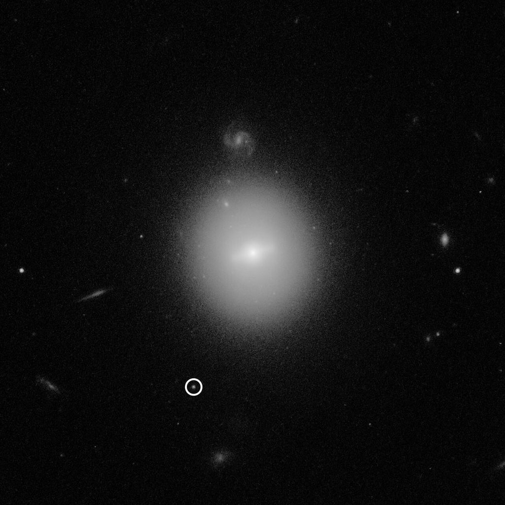 Observação do Hubble de um dos candidatos a buraco negro de massa intermediária (Imagem: ESA/Hubble/M. Kornmesser)