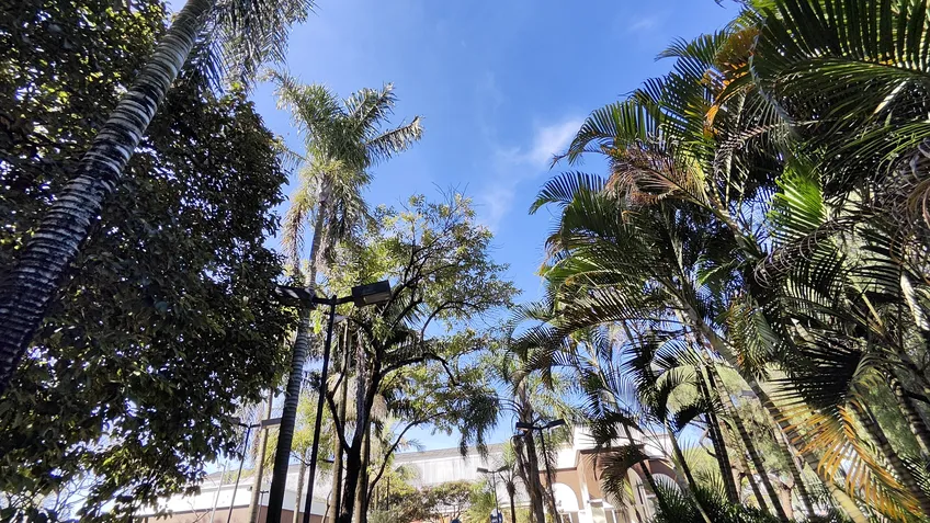 Poco F5 Pro Ultrawide