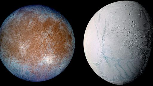 Europa ou Encélado: qual lua tem mais chances de abrigar vida microbiana?