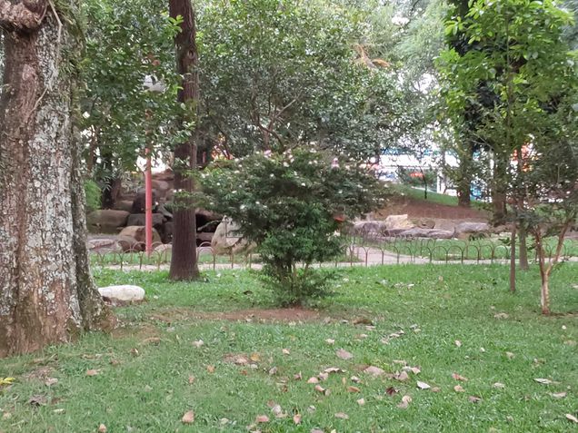 Foto tirada com o zoom 2x do Galaxy Tab S7 FE