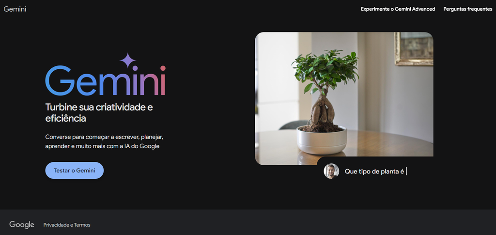 Gemini, do Google, pode abastecer recursos de IA do iPhone no iOS 18 (Imagem: Reprodução/Google)