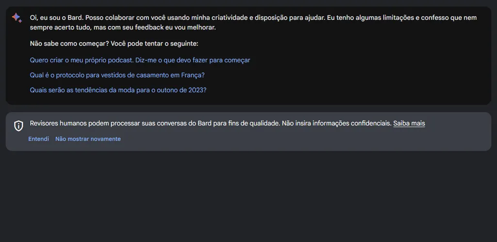 Bard avisa logo de cara que as conversas podem ser processadas por revisores humanos (Imagem: Reprodução/Bard)
