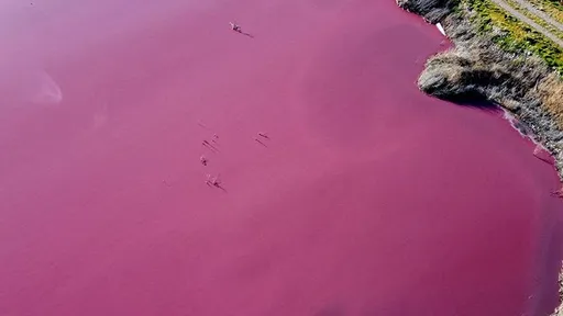 Despejo de resíduos industriais deixa rosa a lagoa de Corfo, na Patagônia