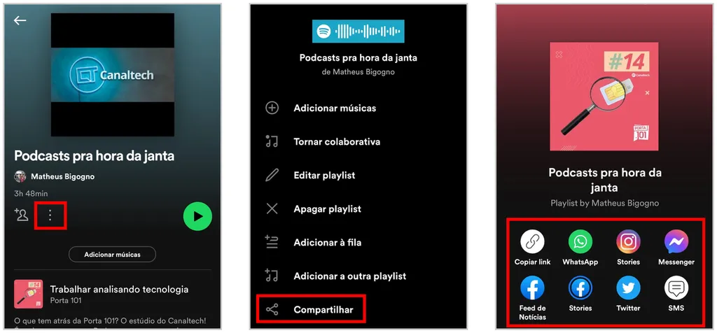 Veja como compartilhar playlist do Spotify: toque nos "Três pontos" e selecione "Compartilhar" (Captura de tela: Matheus Bigogno)