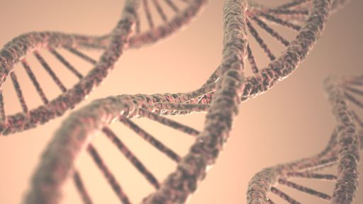 Mulher reencontra pai após 30 anos, graças a banco de DNA