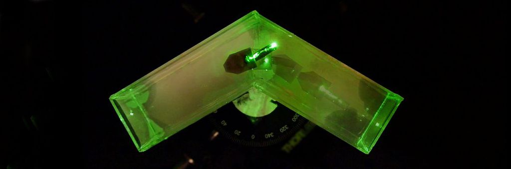 Cientistas criam robô cirúrgico feito à base de hidrogel e movido a luz
