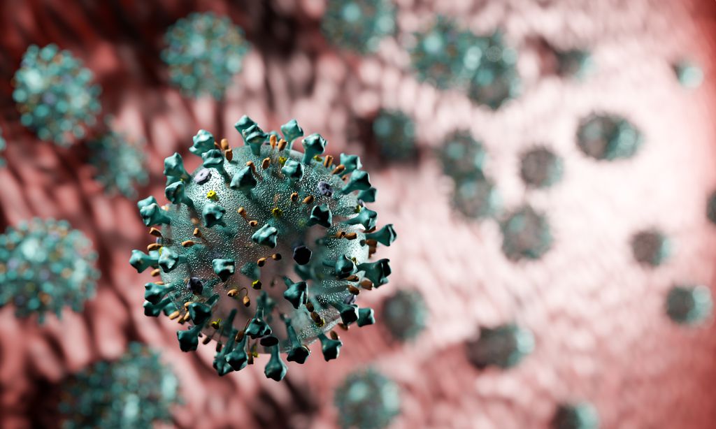 Risco de reinfecção com a variante Ômicron é maior, segundo estudo britânico (Imagem: Reprodução/Photocreo/Envato)