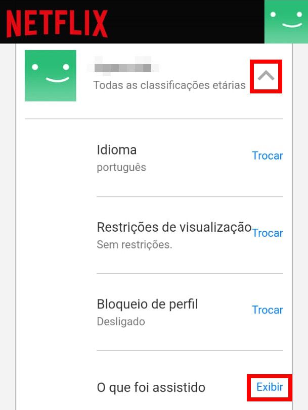 Localize o nome do seu perfil, clique no ícone de "Seta para baixo" para expandir e clique em "Exibir" (Captura de tela: Matheus Bigogno)