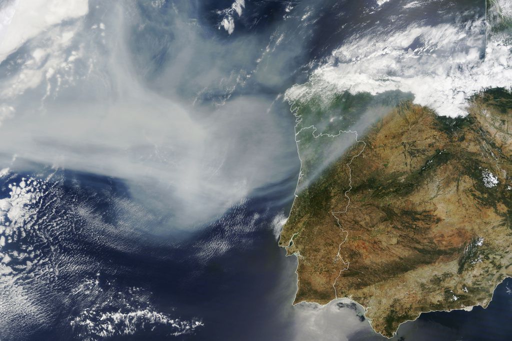 Incêndios também acabam levando fumaça tóxica a espécies distantes — nesta foto de satélite, é possível ver a fumaça de um incêndio no Canadá chegando até a Europa (Imagem: Lauren Dauphin/NASA Earth Observatory)