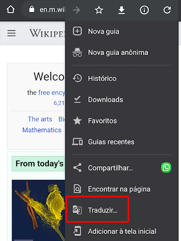 Traduzindo páginas no navegador