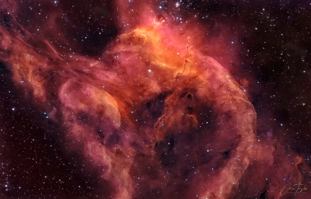 A nebulosa de emissão NGC 3572, acompanhada de um aglomerado estelar (Imagem: Reprodução/Carlos Taylor)