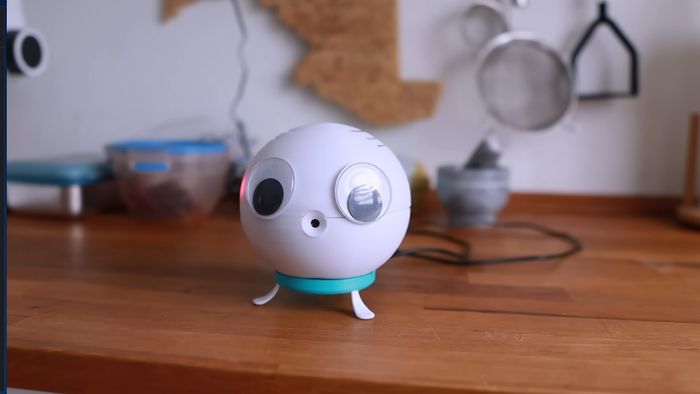 Youtuber cria robô com IA que espanta o gato do balcão com jatos de água