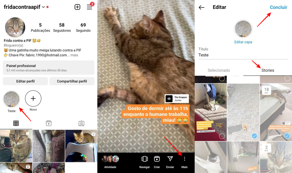 O Instagram permite inserir novos stories na ferramenta de edição (Imagem: Captura de tela/Fabrício Calixto/Canaltech)
